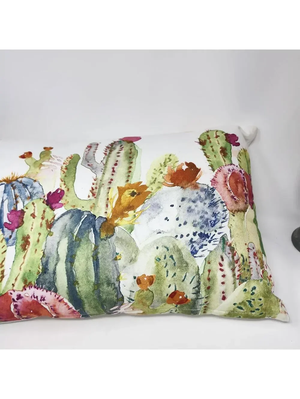 Spring Novelty Cactus Watercolor Lumbar Pillow 14x20 NWT